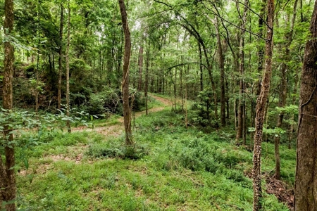 Beautiful Home/Getaway For Sale in Natchez, MS - image 8