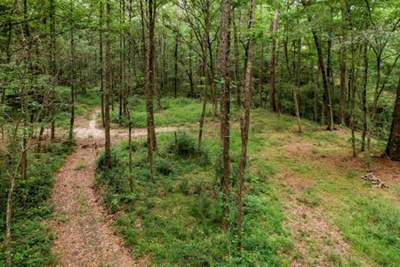 Beautiful Home/Getaway For Sale in Natchez, MS - image 3