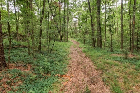 Beautiful Home/Getaway For Sale in Natchez, MS - image 9