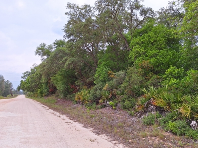 20 Acres Of Vacant Land For Sale In Chiefland, Fl - image 7