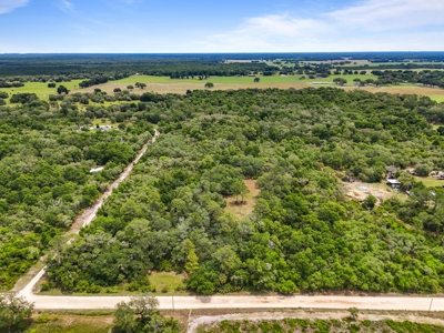 20 Acres Of Vacant Land For Sale In Chiefland, Fl - image 5