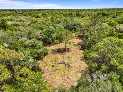 20 Acres Of Vacant Land For Sale In Chiefland, Fl - image 4