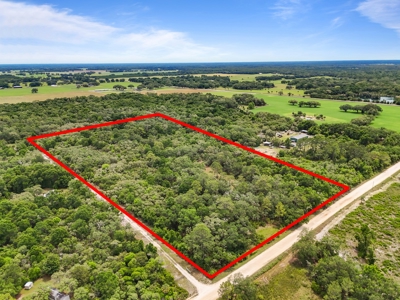 20 Acres Of Vacant Land For Sale In Chiefland, Fl - image 3