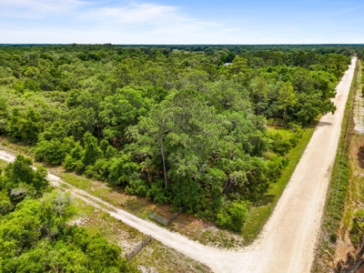 20 Acres Of Vacant Land For Sale In Chiefland, Fl - image 2