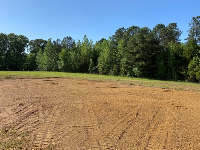 Land For Sale In Tn, 10.54 Acres, Open Land, Pond, Driveway - image 3