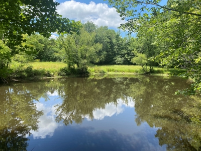 Land For Sale In Tn, 10.54 Acres, Open Land, Pond, Driveway - image 10