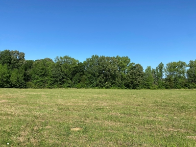 Land For Sale In Tn, 10.54 Acres, Open Land, Pond, Driveway - image 22