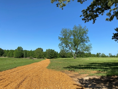 Land For Sale In Tn, 10.54 Acres, Open Land, Pond, Driveway - image 13