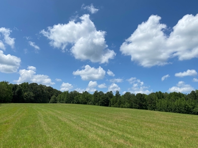 Land For Sale In Tn, 10.54 Acres, Open Land, Pond, Driveway - image 7