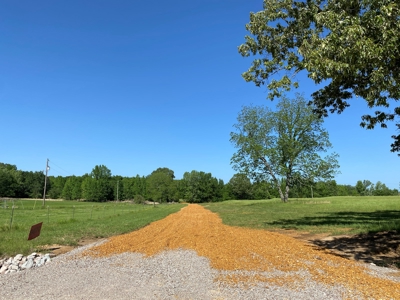 Land For Sale In Tn, 10.54 Acres, Open Land, Pond, Driveway - image 12