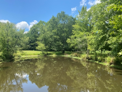 Land For Sale In Tn, 10.54 Acres, Open Land, Pond, Driveway - image 11