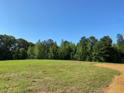 Land For Sale In Tn, 10.54 Acres, Open Land, Pond, Driveway - image 20