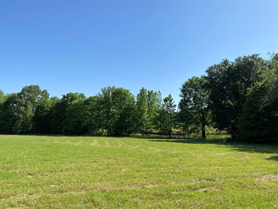 Land For Sale In Tn, 10.54 Acres, Open Land, Pond, Driveway - image 28