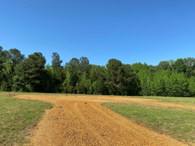 Land For Sale In Tn, 10.54 Acres, Open Land, Pond, Driveway - image 19
