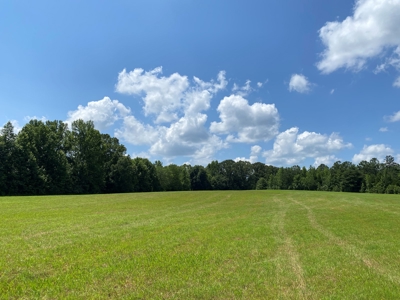 Land For Sale In Tn, 10.54 Acres, Open Land, Pond, Driveway - image 2