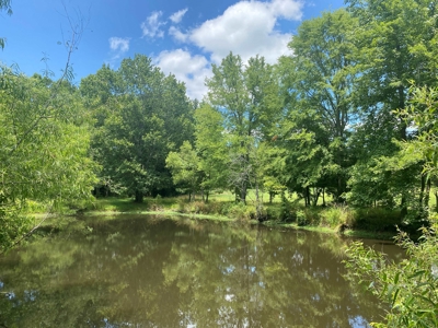 Land For Sale In Tn, 10.54 Acres, Open Land, Pond, Driveway - image 34