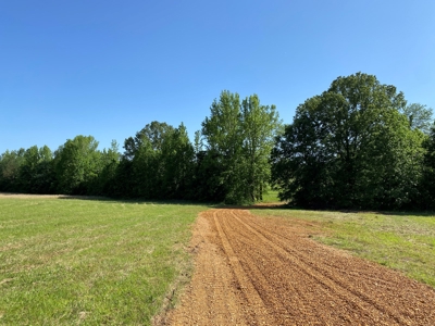 Land For Sale In Tn, 10.54 Acres, Open Land, Pond, Driveway - image 5