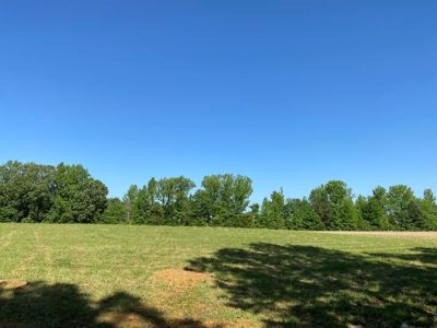 Land For Sale In Tn, 10.54 Acres, Open Land, Pond, Driveway - image 18