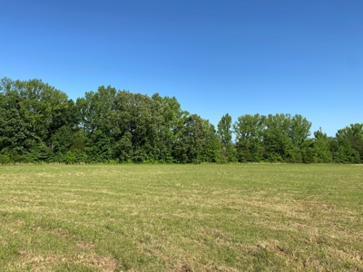 Land For Sale In Tn, 10.54 Acres, Open Land, Pond, Driveway - image 24