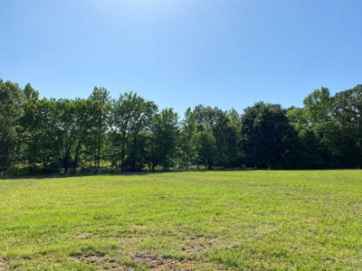 Land For Sale In Tn, 10.54 Acres, Open Land, Pond, Driveway - image 21