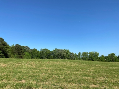 Land For Sale In Tn, 10.54 Acres, Open Land, Pond, Driveway - image 30