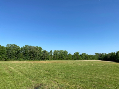 Land For Sale In Tn, 10.54 Acres, Open Land, Pond, Driveway - image 26