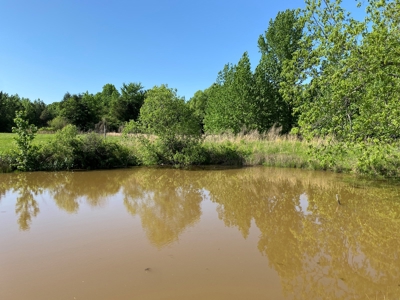 Land For Sale In Tn, 10.54 Acres, Open Land, Pond, Driveway - image 17