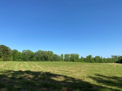 Land For Sale In Tn, 10.54 Acres, Open Land, Pond, Driveway - image 29
