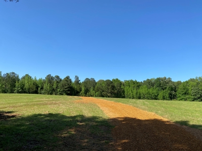 Land For Sale In Tn, 10.54 Acres, Open Land, Pond, Driveway - image 4