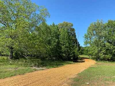 Land For Sale In Tn, 10.54 Acres, Open Land, Pond, Driveway - image 16