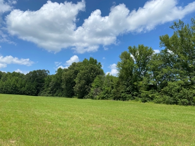 Land For Sale In Tn, 10.54 Acres, Open Land, Pond, Driveway - image 8