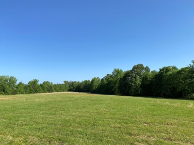 Land For Sale In Tn, 10.54 Acres, Open Land, Pond, Driveway - image 27