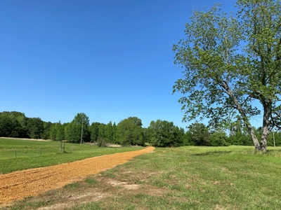 Land For Sale In Tn, 10.54 Acres, Open Land, Pond, Driveway - image 15