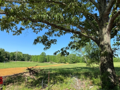 Land For Sale In Tn, 10.54 Acres, Open Land, Pond, Driveway - image 14