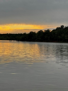 Sunset Views Await: Kerr Lake Oasis In VA - image 13