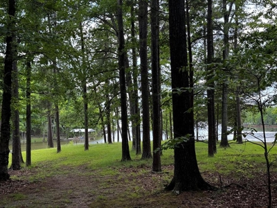 Sunset Views Await: Kerr Lake Oasis In VA - image 12