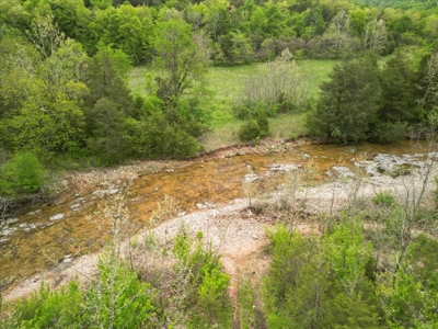 Ozark County Missouri Secluded, Wooded Hunting Property - image 1