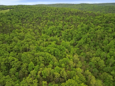 Ozark County Missouri Secluded, Wooded Hunting Property - image 8