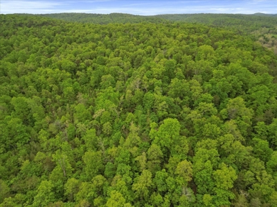 Ozark County Missouri Secluded, Wooded Hunting Property - image 15