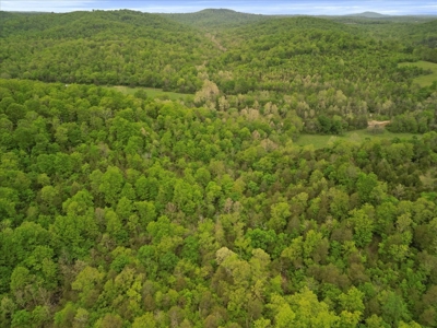 Ozark County Missouri Secluded, Wooded Hunting Property - image 14