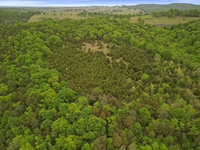 Ozark County Missouri Secluded, Wooded Hunting Property - image 9