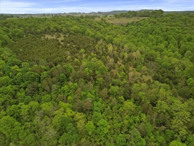 Missouri Ozarks, Secluded, Off-Grid Hunting Property - image 12