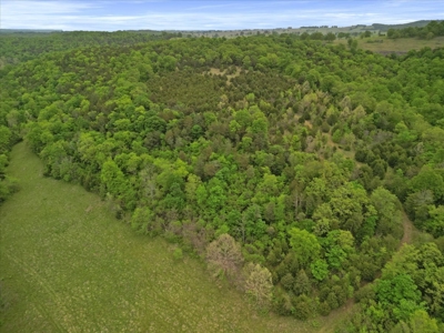 Missouri Ozarks, Secluded, Off-Grid Hunting Property - image 6