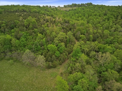 Missouri Ozarks, Secluded, Off-Grid Hunting Property - image 11