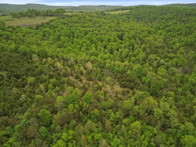 Missouri Ozarks, Secluded, Off-Grid Hunting Property - image 10