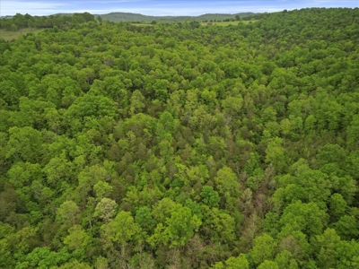 Missouri Ozarks, Secluded, Off-Grid Hunting Property - image 9