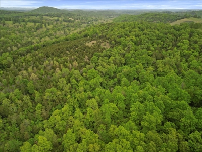 Missouri Ozarks, Secluded, Off-Grid Hunting Property - image 5