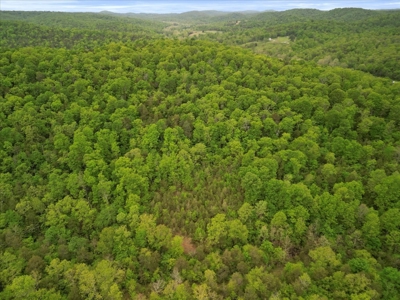 Missouri Ozarks, Secluded, Off-Grid Hunting Property - image 4