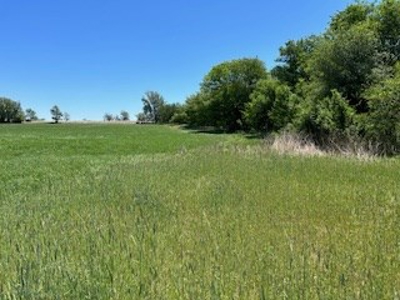 Kansas Hunting Land For Sale- Harper County- Unit 16 - image 22
