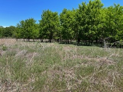 Kansas Hunting Land For Sale- Harper County- Unit 16 - image 8